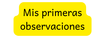 Mis primeras observaciones